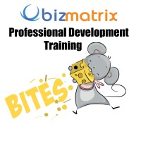 professional development bizmatrix