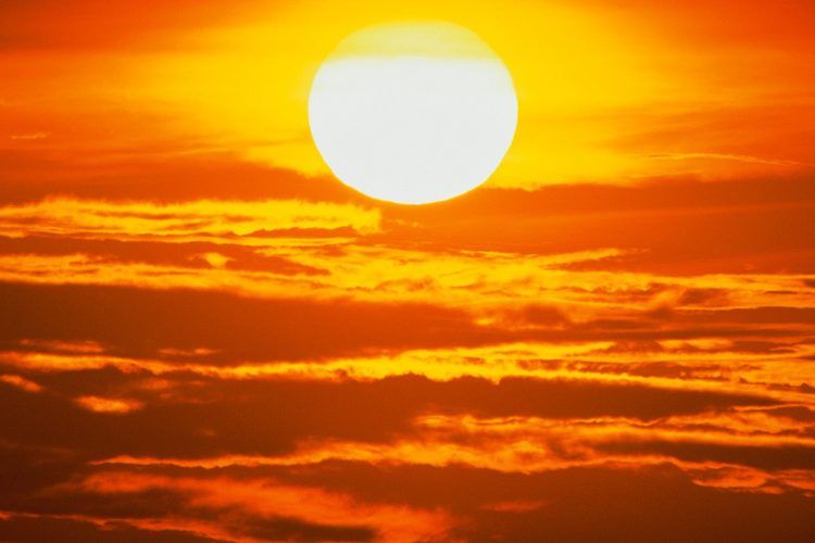 Trade Tips: Staying Cool in this Heatwave